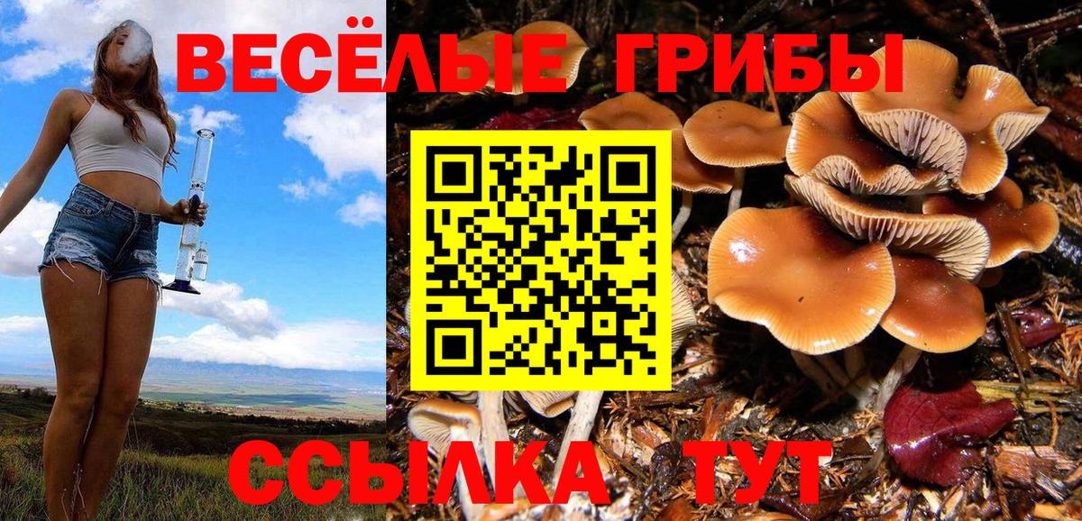 Иваново  Псилоцибиновые грибы прущие грибы  Галлюциногенные грибы мицелий  Вход с VPN 