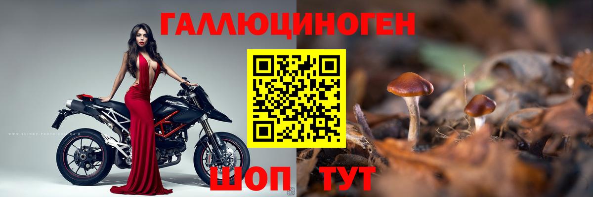 Псилоцибиновые грибы прущие грибы Иваново